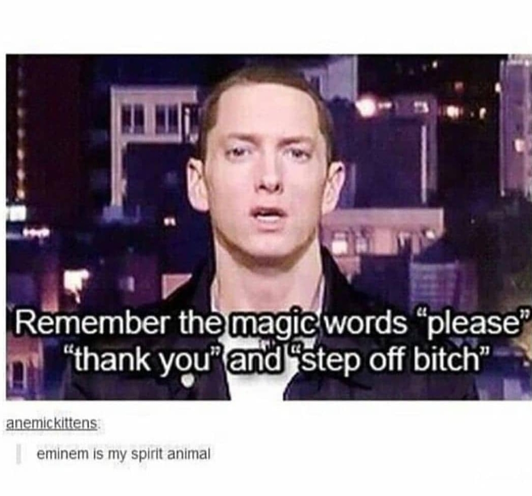 Thank+you+Mr+Eminem
