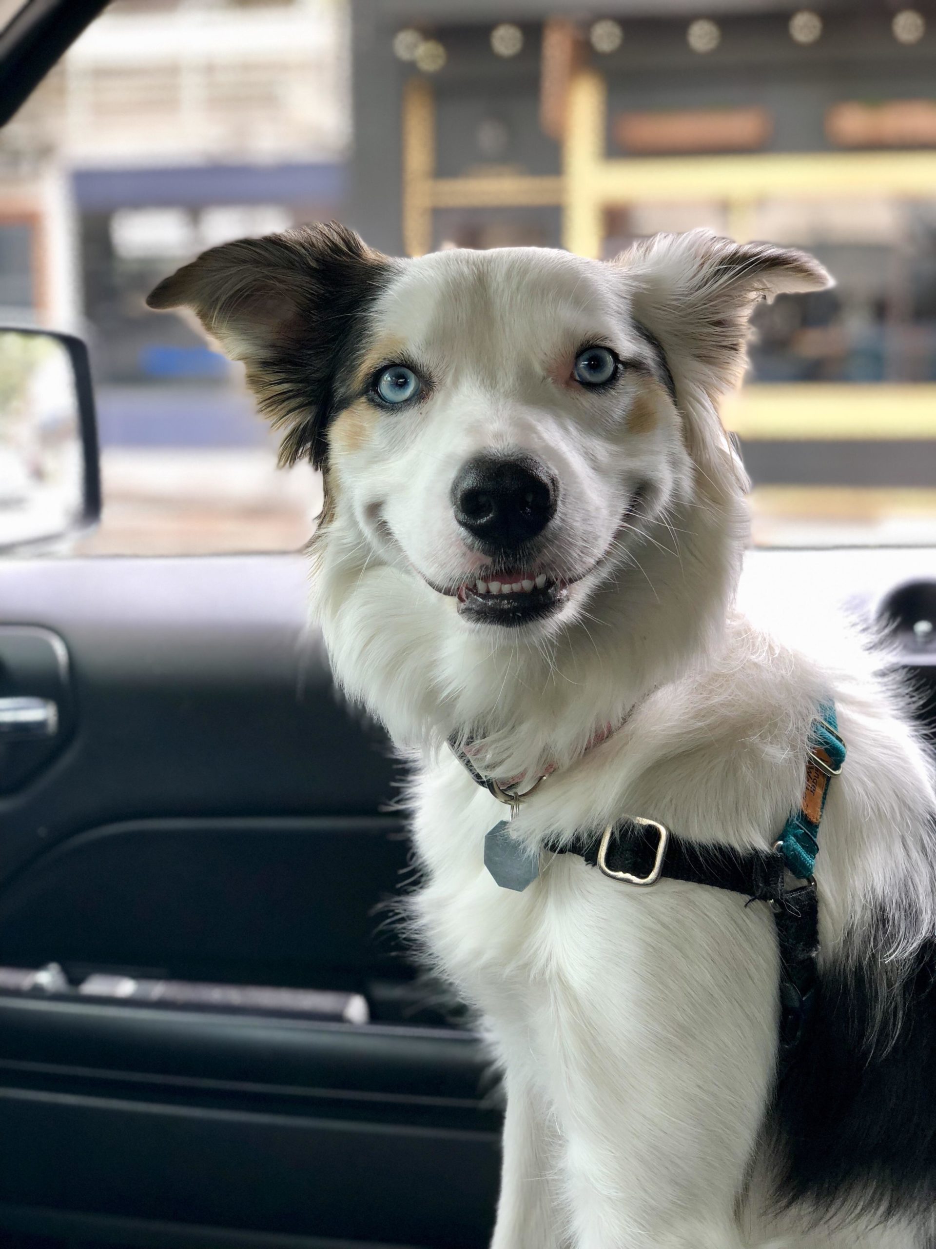 Ridiculously+photogenic+girl.