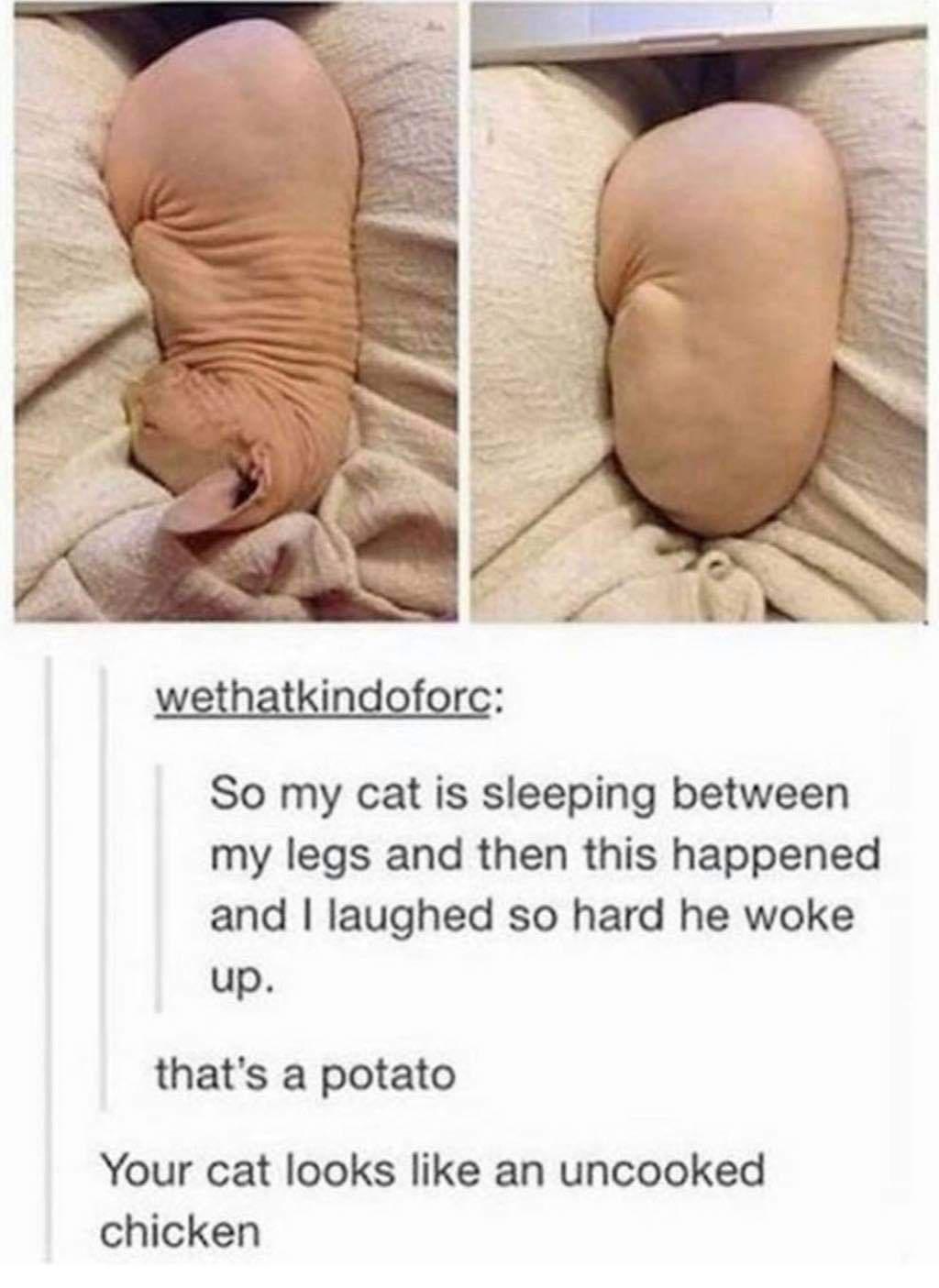 I+disapprove+of+this+message%26%238230%3B