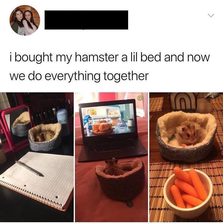 I+need+this+kind+of+friend+in+my+life.