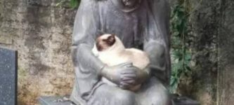 Jesus+take+the+kitty.