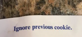 Never+eat+more+than+one+fortune+cookie%26%238230%3B