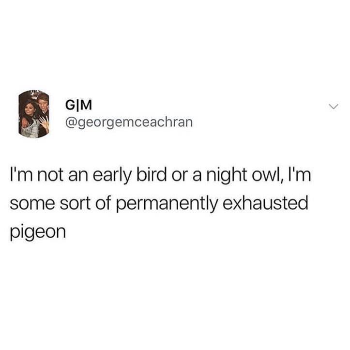 Pigeons+gonna+pidge%26%238230%3B