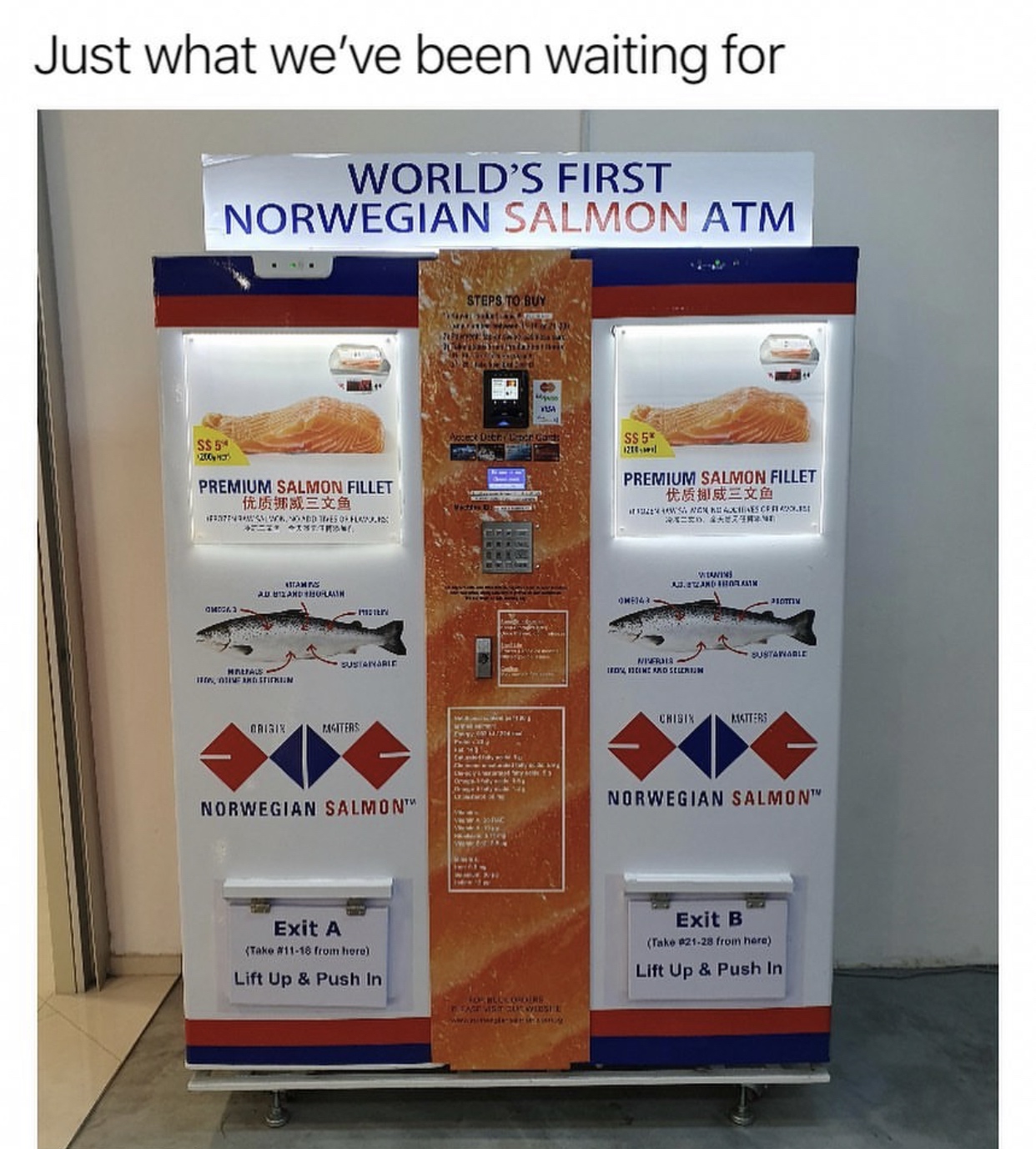 My+favorite+currency.