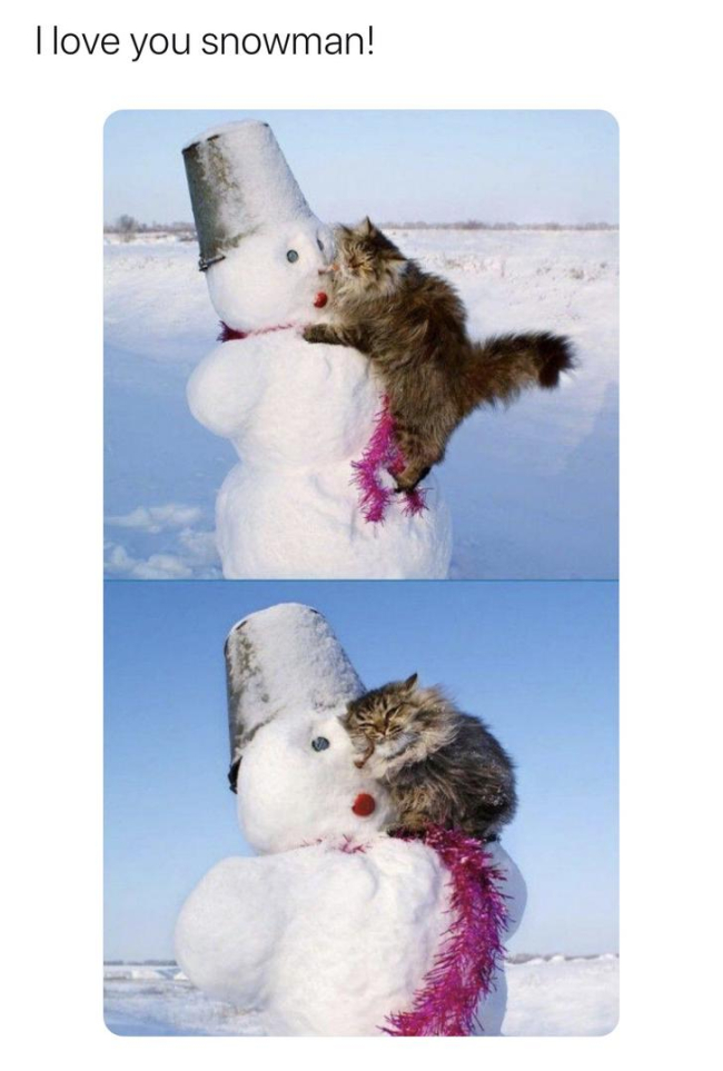 Cats+have+a+thing+for+snow+men%2C+apparently.