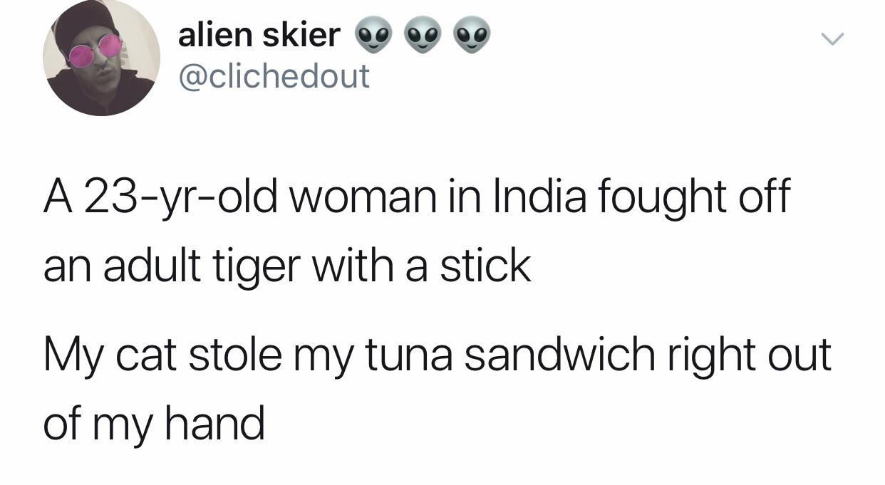 Vicious+house+tiger.