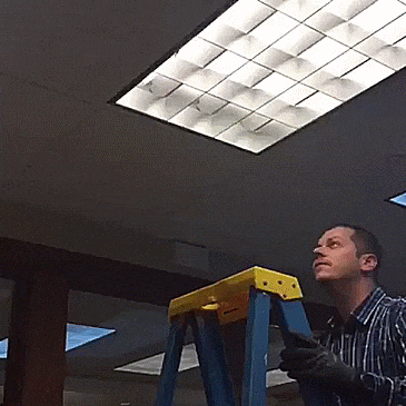 Guy+catches+flying+bird