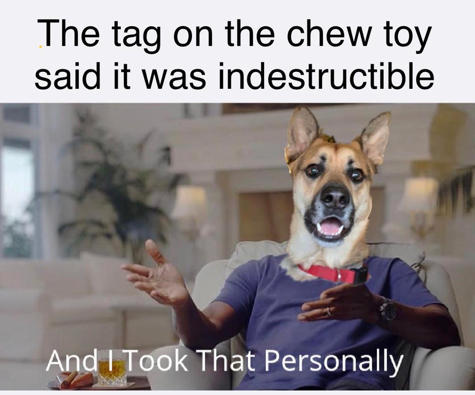 So+there+I+was%2C+chewing+away%26%238230%3B