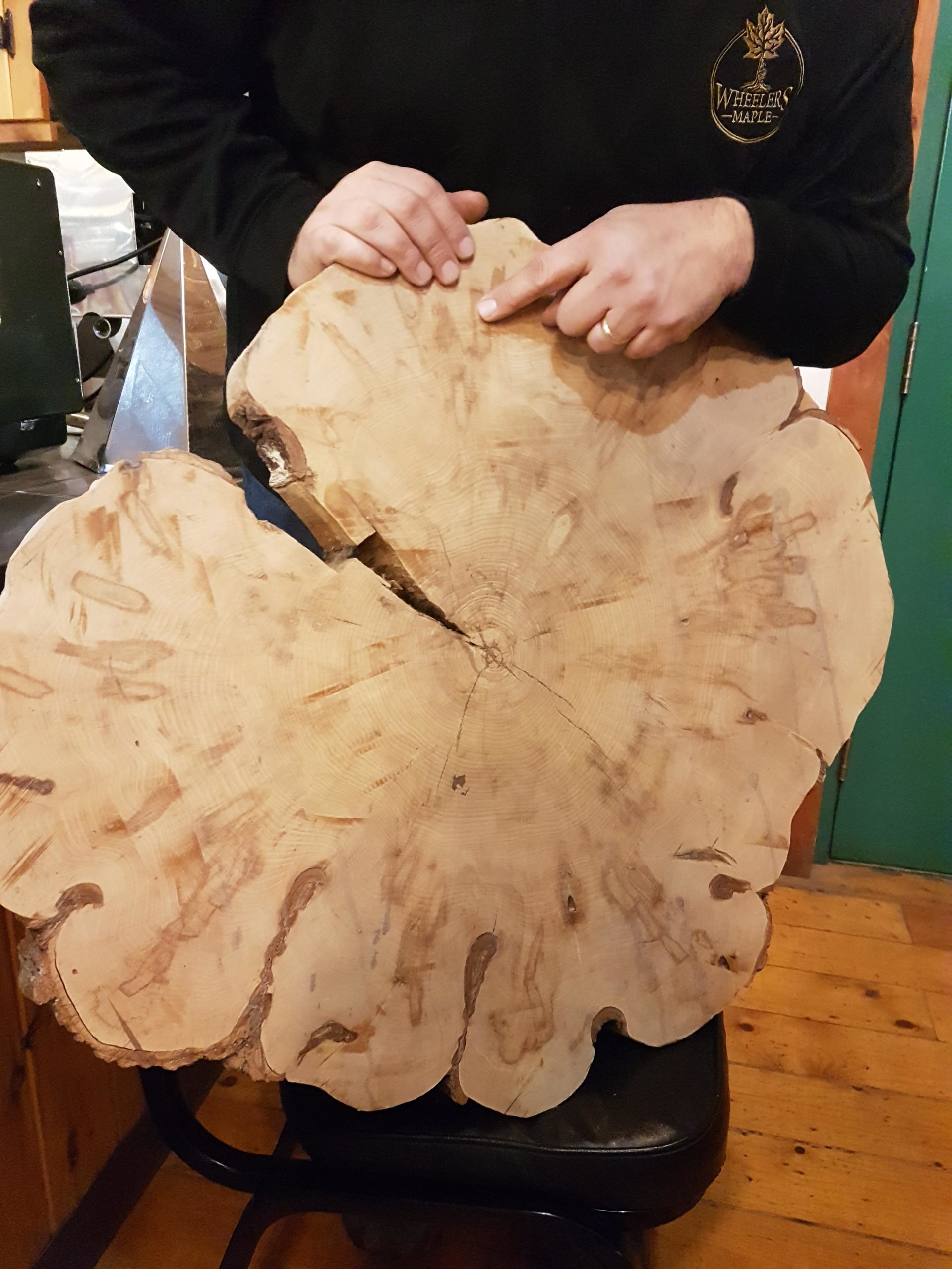 Tapping+scars+on+maple+tree+as+old+as+Canada%3B+first+tapped+in+1867