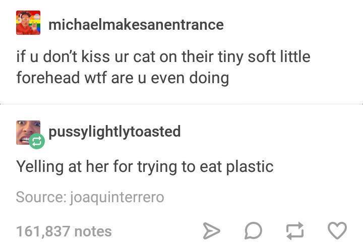 It+is+consistently+one+of+those%26%238230%3B