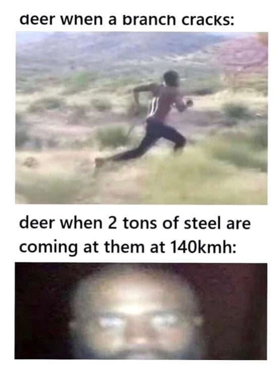 An+interesting+evolutionary+trait%26%238230%3B