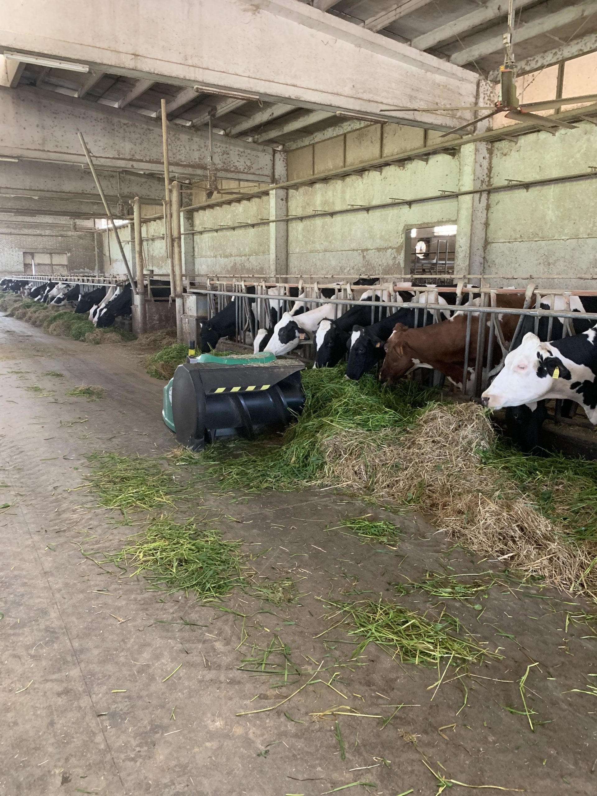 This+robot+exists+to+push+the+hay+closer+to+the+cows.