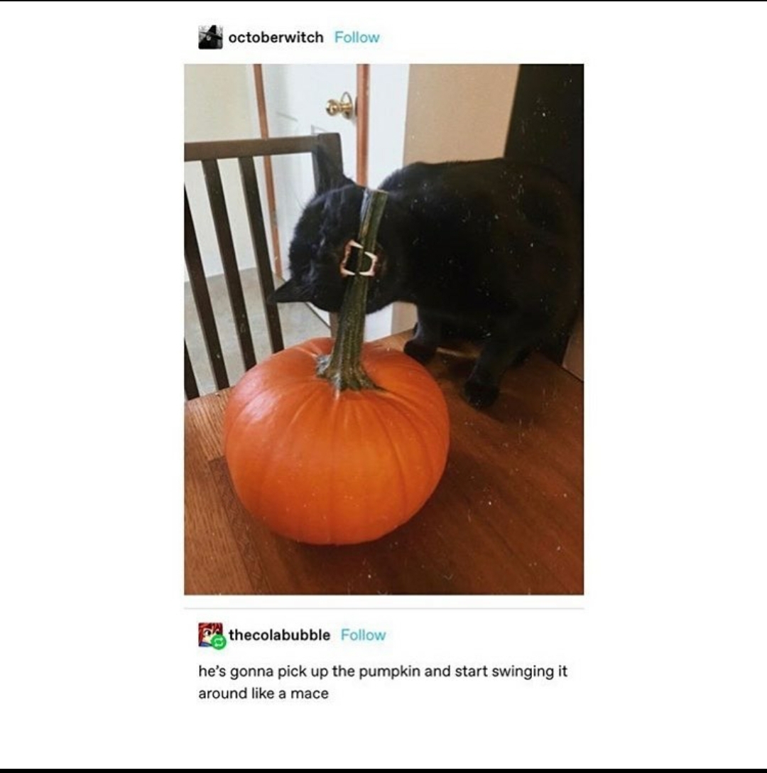 Halloween+spookiness