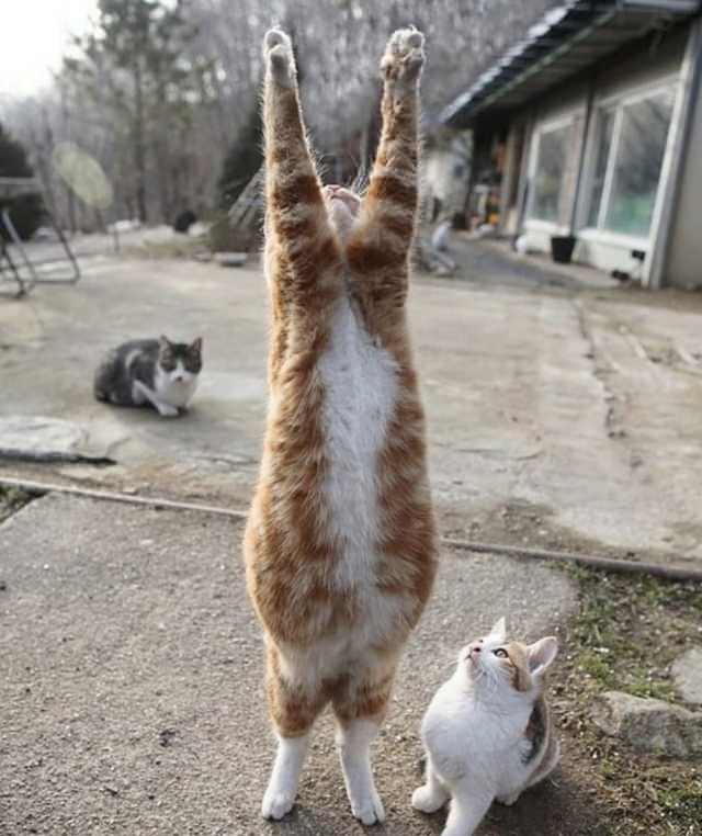 There+was+a+FIREFIGHT%21%21%21%21%21%21