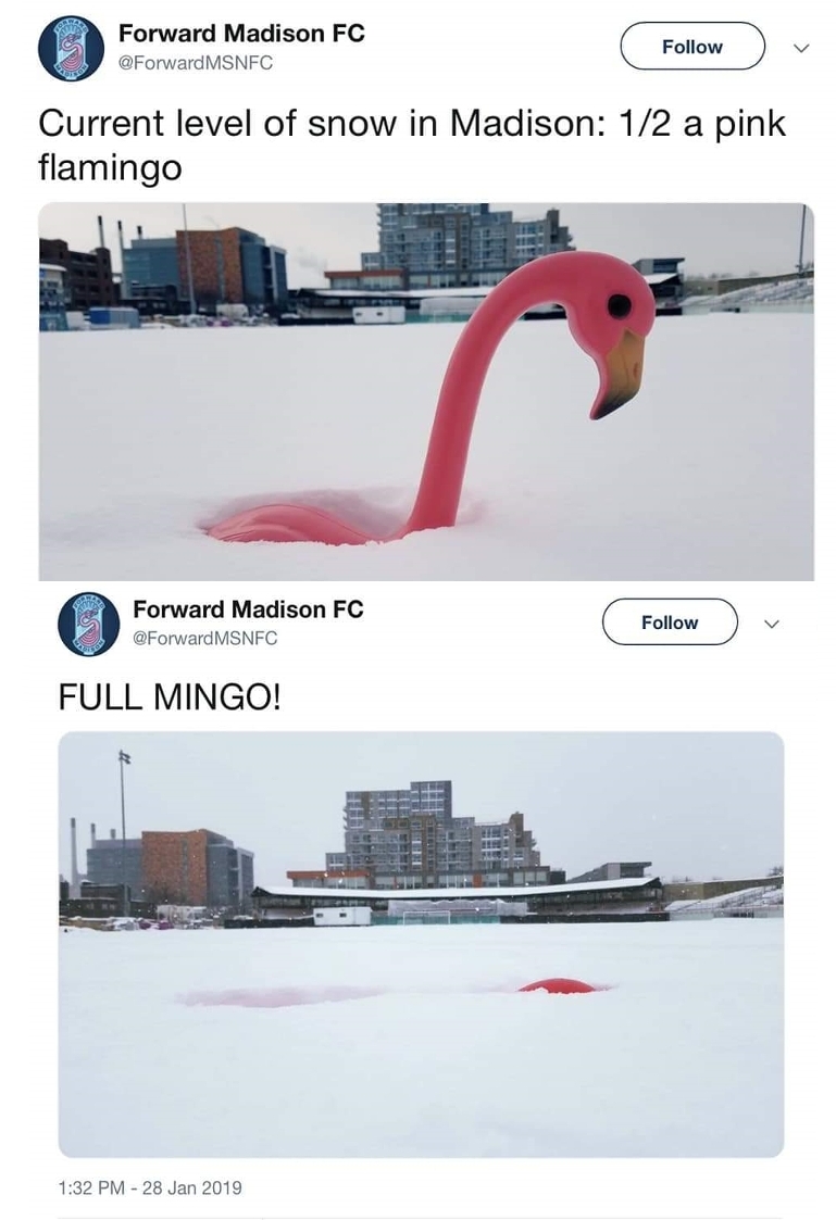 metric+system%3F+measuring+by+feet%3F+sorry%2C+I+only+measure+by+flamingoes