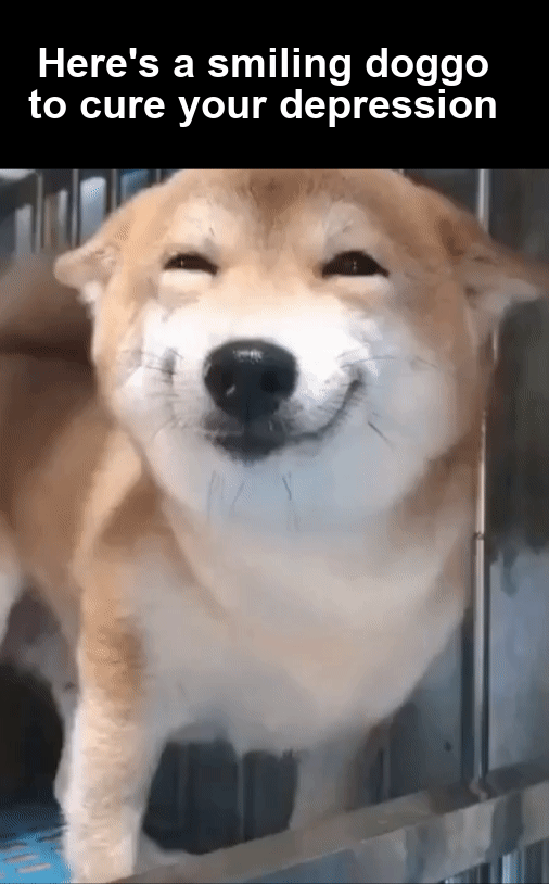 I+feel+cured+as+heck%2C+thanks.