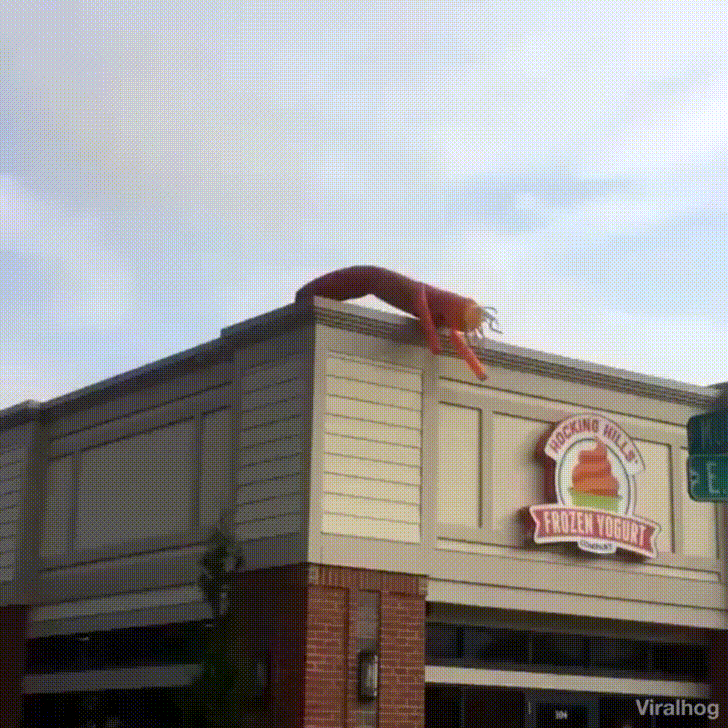 Do+not+trust+the+yogurt.