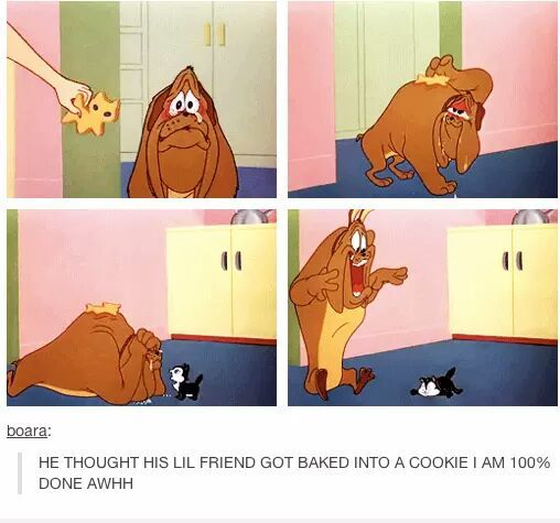 Dang%2C+what+a+roller+coaster+ride+%26%238230%3B