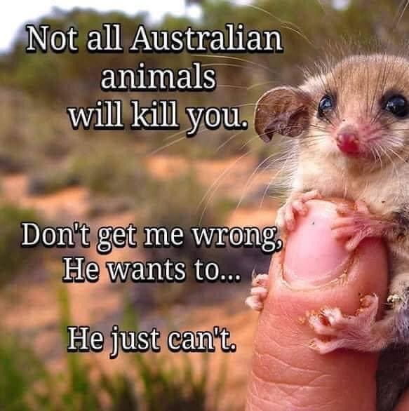 He+plots+your+demise%26%238230%3B