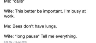 Bee+lungs+are+missing.