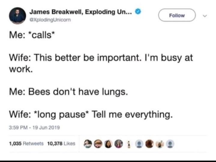 Bee+lungs+are+missing.