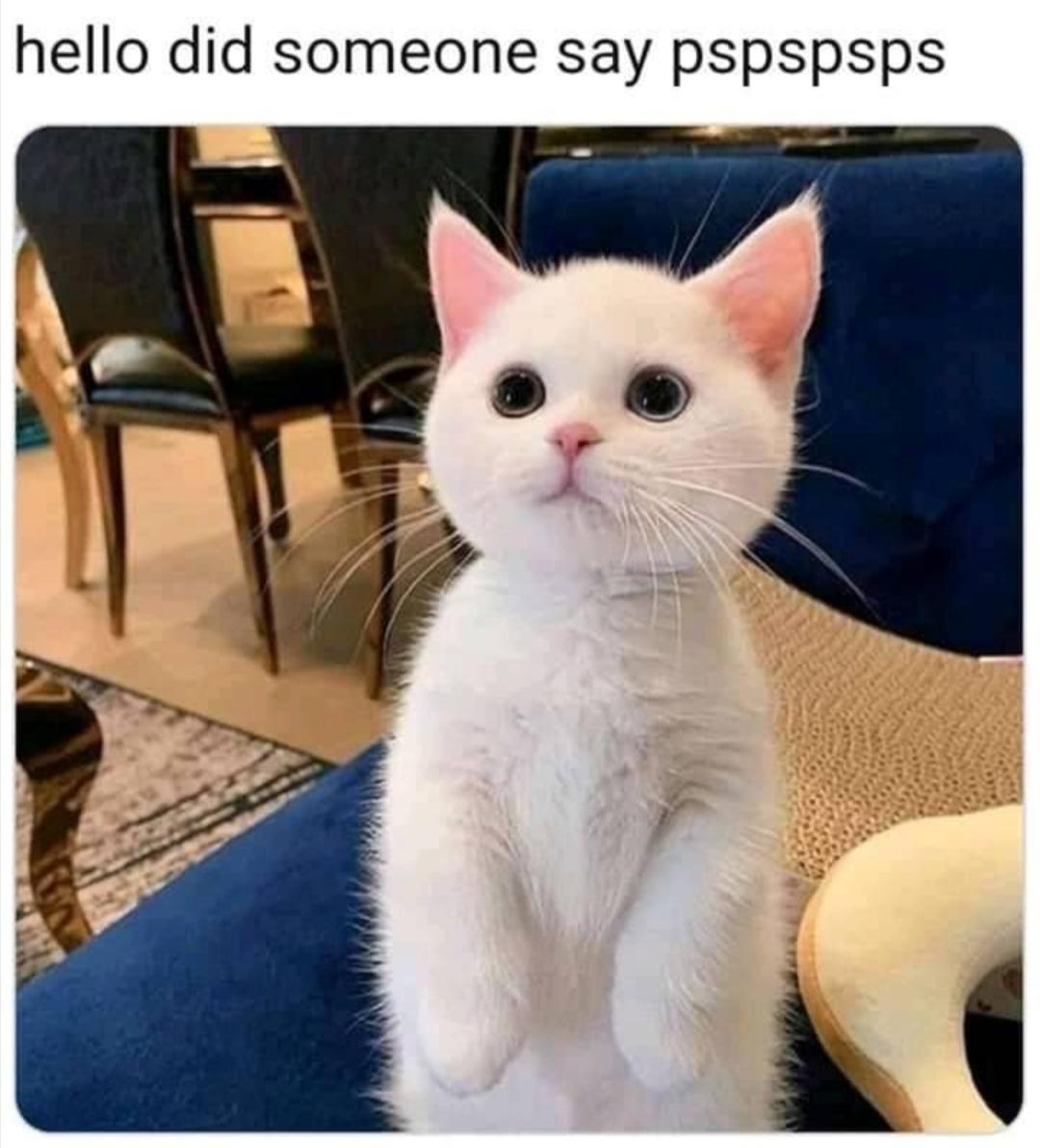 Did+you+hear+that%3F