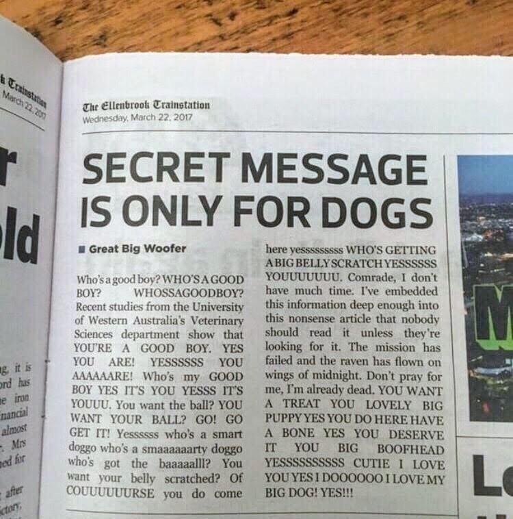 Doggo+owner+leaves+message+for+his+dog+on+newspaper