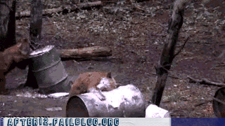 Lindsay+Lohan+wearing+a+bear+suit.