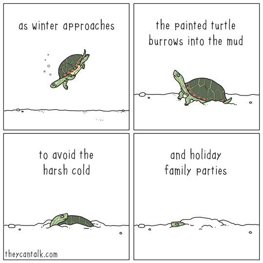 %26%238217%3Btis+the+season