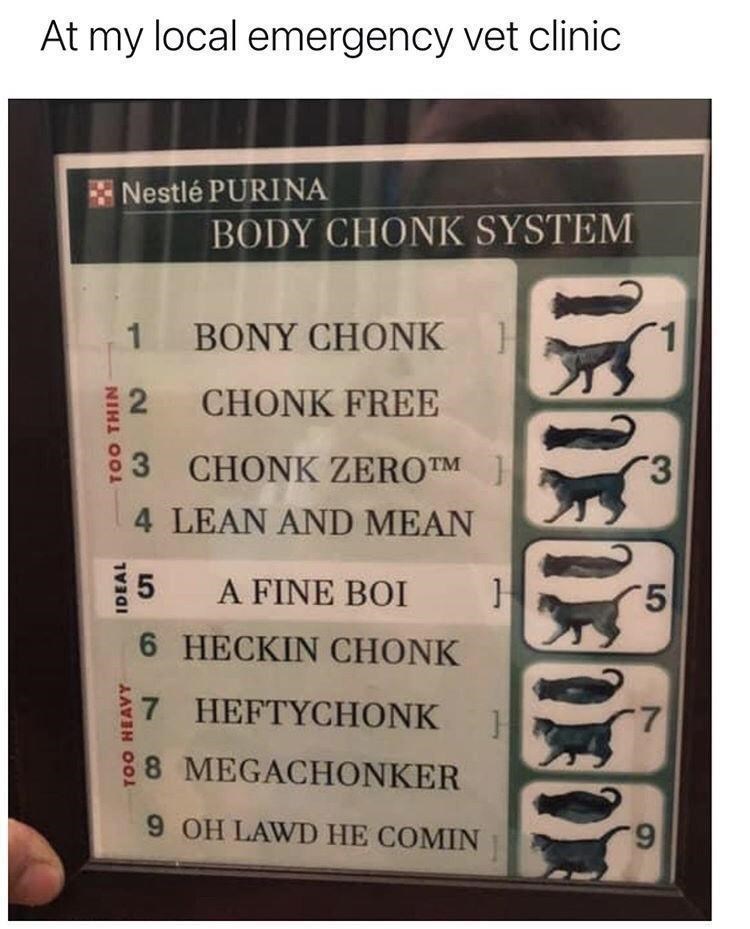 chonk+chart