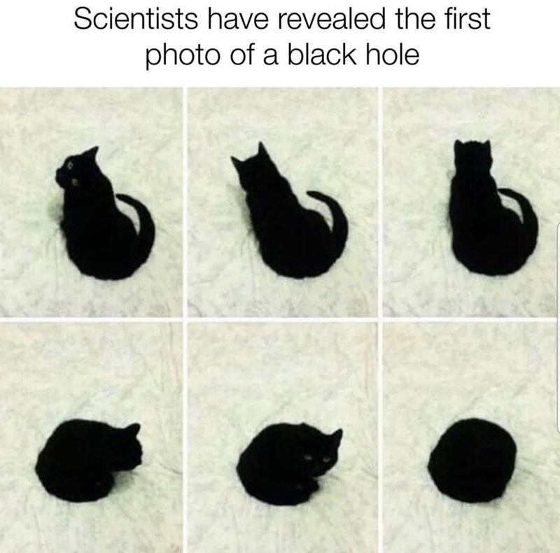 the+story+of+how+i+lost+my+hand