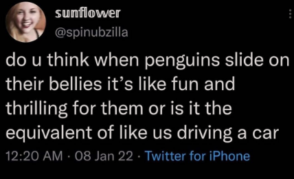 an+important+question