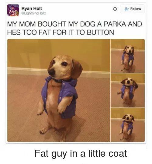 fat+guy+in+a+little+coat