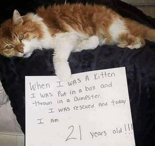 humans+can+be+both+so+kind+and+so+cruel