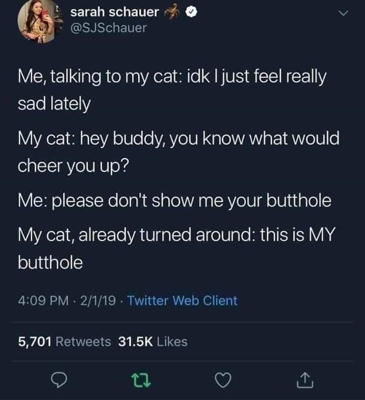 thanks+butt+no+thanks%2C+cat