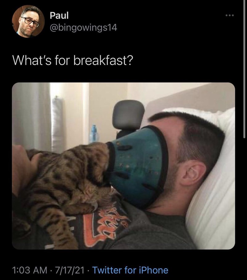 i%26%238217%3Bm+hungry+hooman