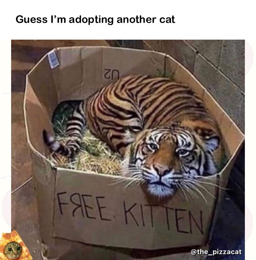 he+looks+like+a+real+sweetheart