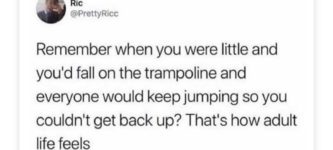 i+should+buy+a+trampoline