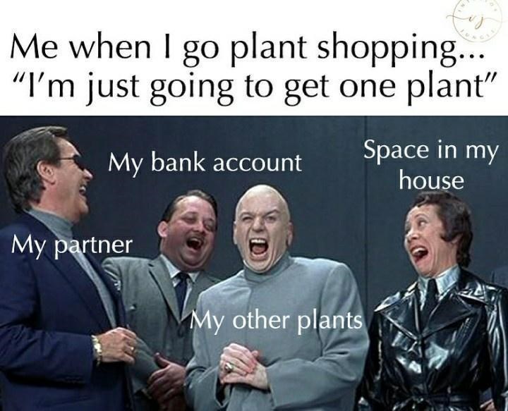 i+bought+all+the+plants