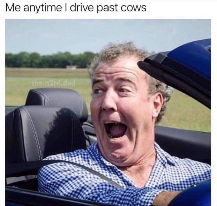 moo