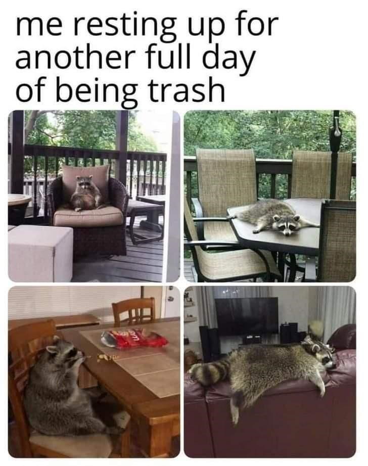 it%26%238217%3Bs+hard+work