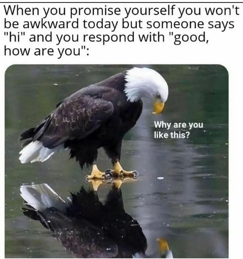 it%26%238217%3Bs+a+disease