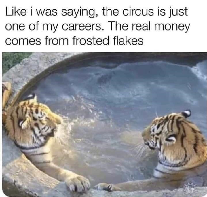 multi-talented+tiger