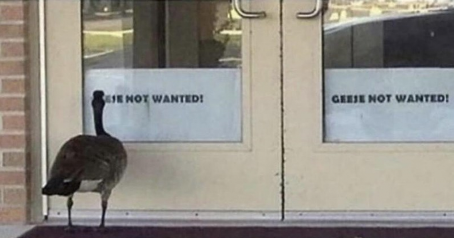 just+walk+away%2C+buddy