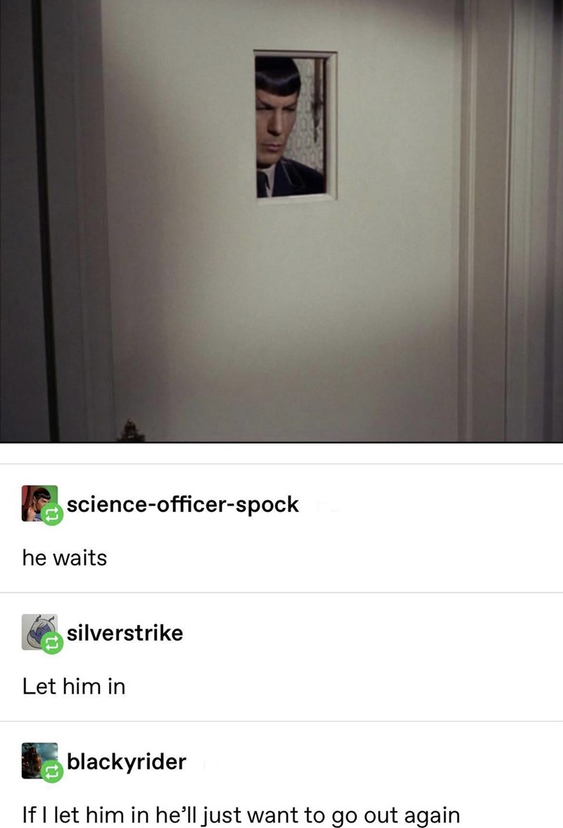 he%26%238217%3Bs+a+vulcan+cat