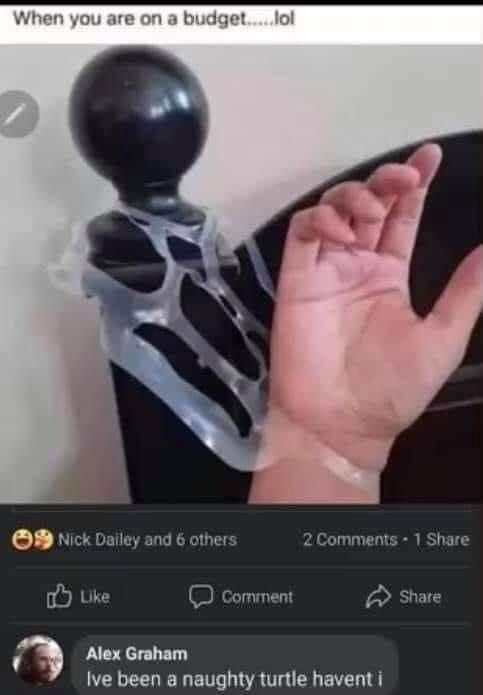 you%26%238217%3Bve+been+a+naughty+turtle