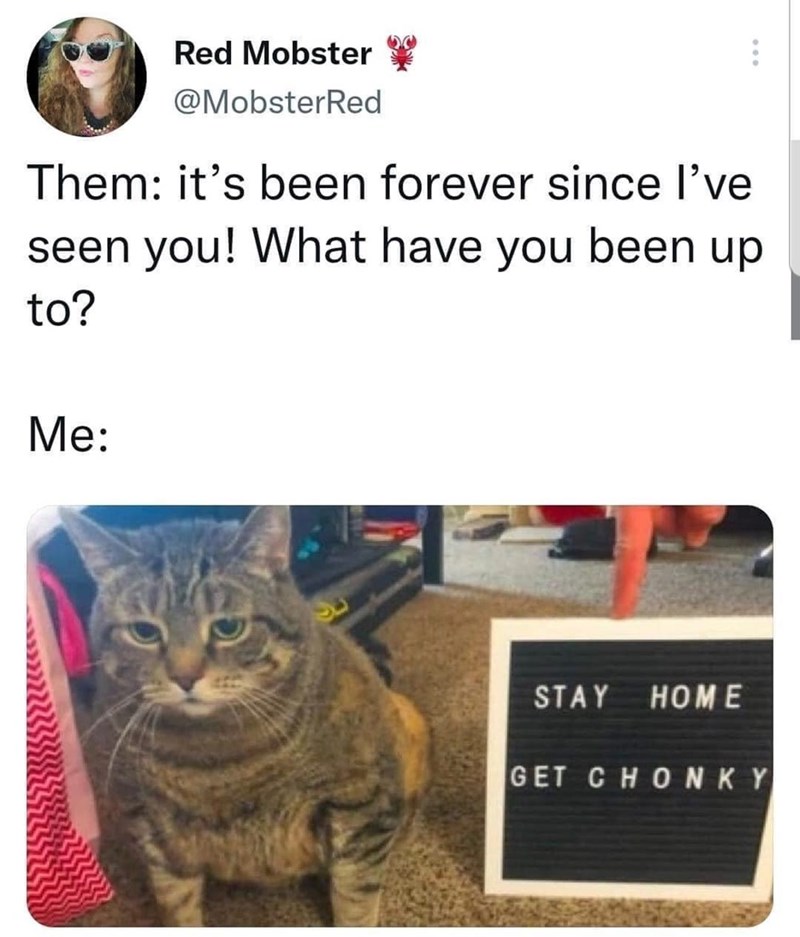 all+chonk+now