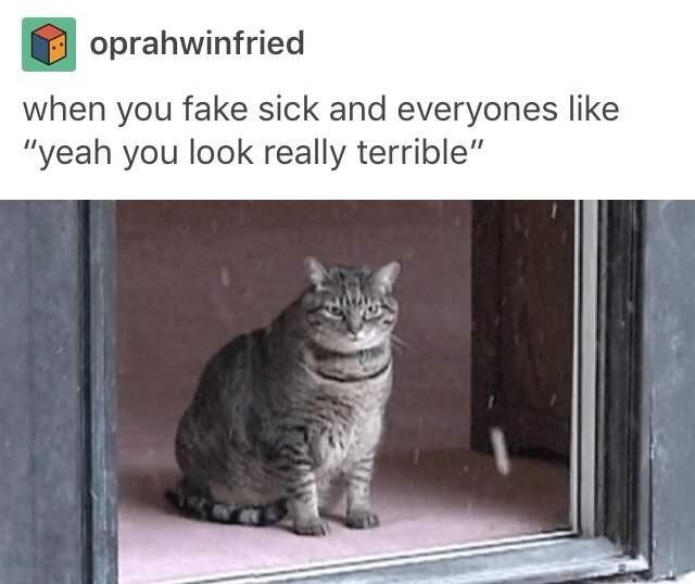 it%26%238217%3Bs+my+natural+glow