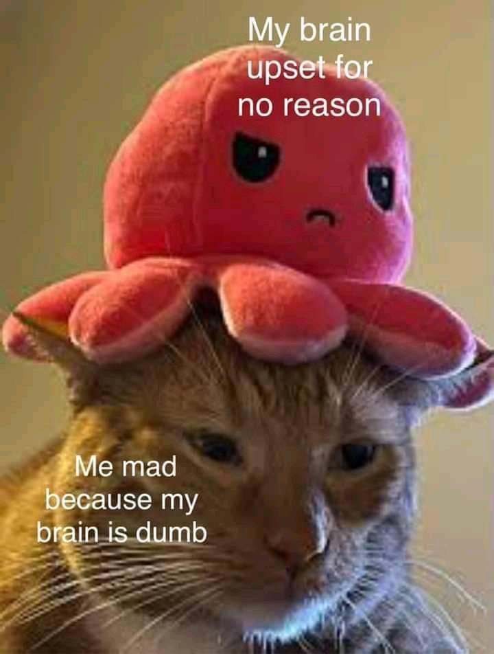 dumb+brain