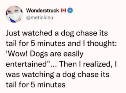 humans+are+easily+entertained